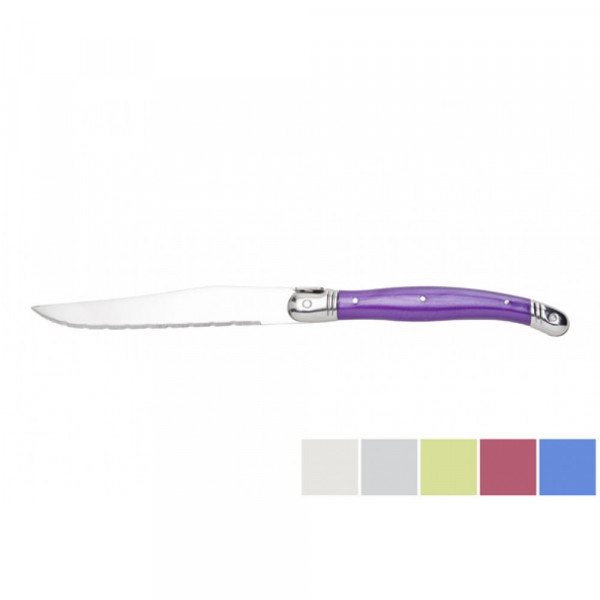 6PCS STEAK KNIFE SET WITH COLORED HANDLE в 